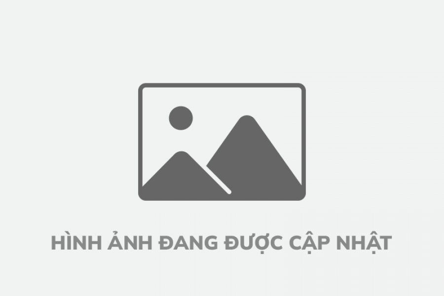 HÌNH ẢNH ĐANG CẬP NHẬT